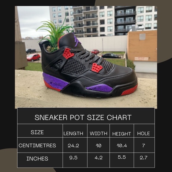 Air Jordan 4 raptors sneaker planter - Picture 4 of 4